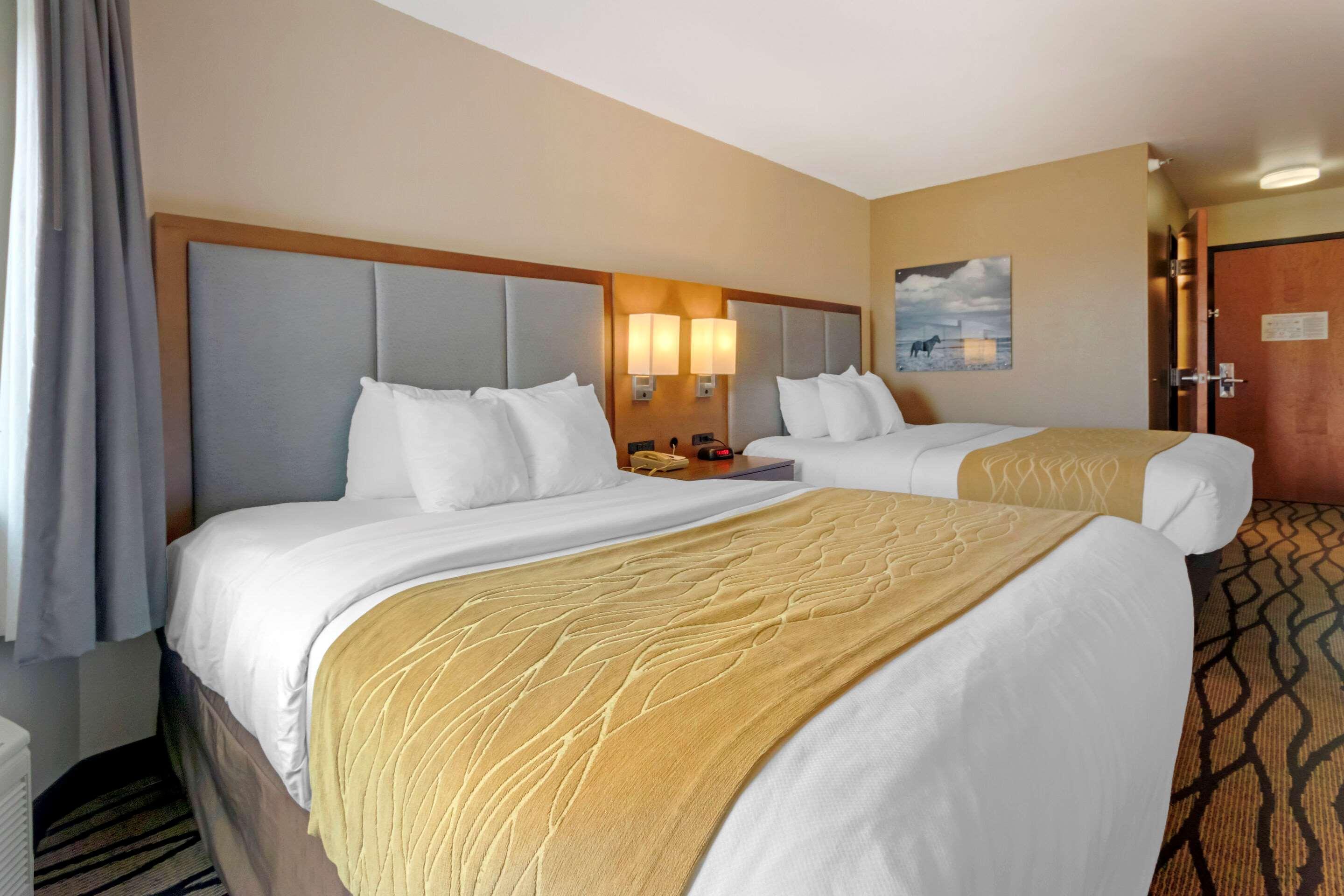 Comfort Inn & Suites Market - Airport Great Falls Bagian luar foto