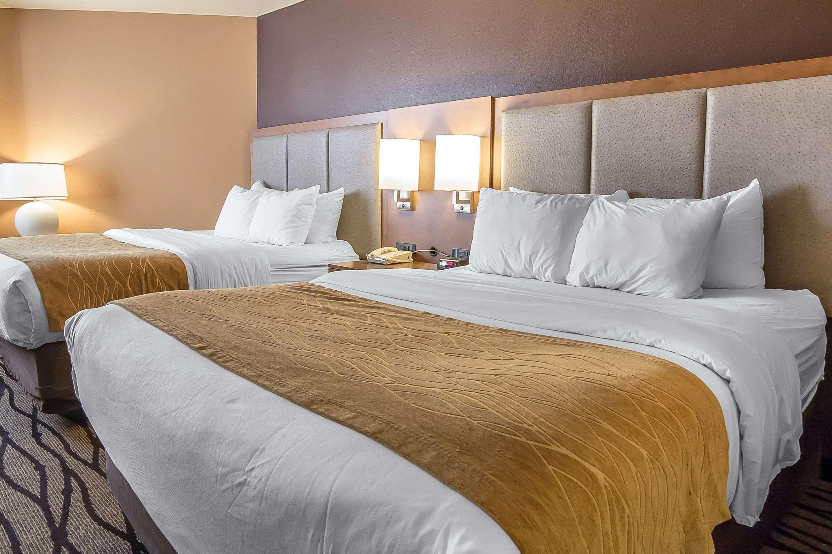 Comfort Inn & Suites Market - Airport Great Falls Bagian luar foto